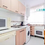 Tucan, Comodo, Bonito, Centrico